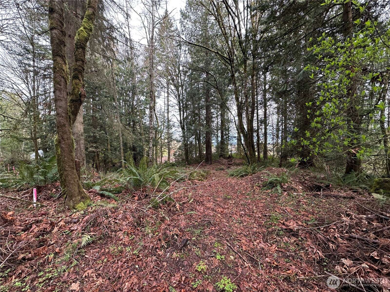Port Orchard, WA 98366,16 Lots Nevada AVE E