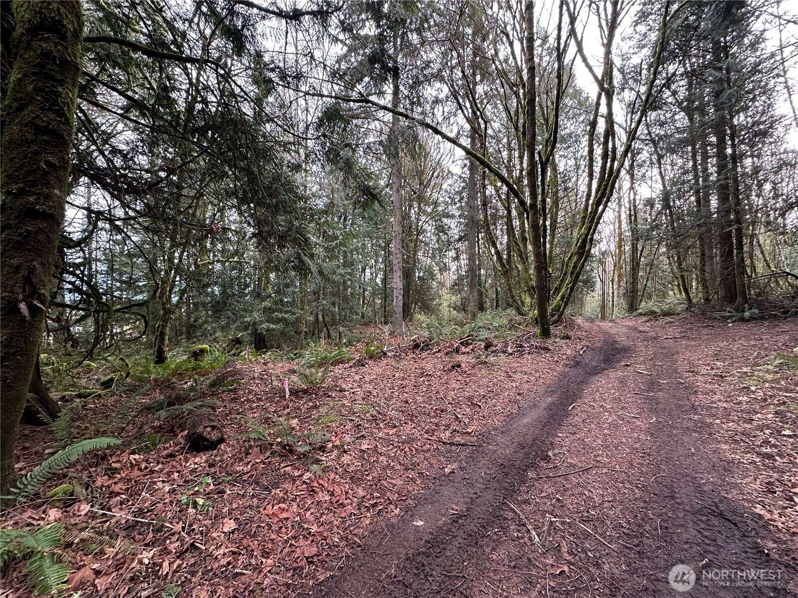 Port Orchard, WA 98366,16 Lots Nevada AVE E