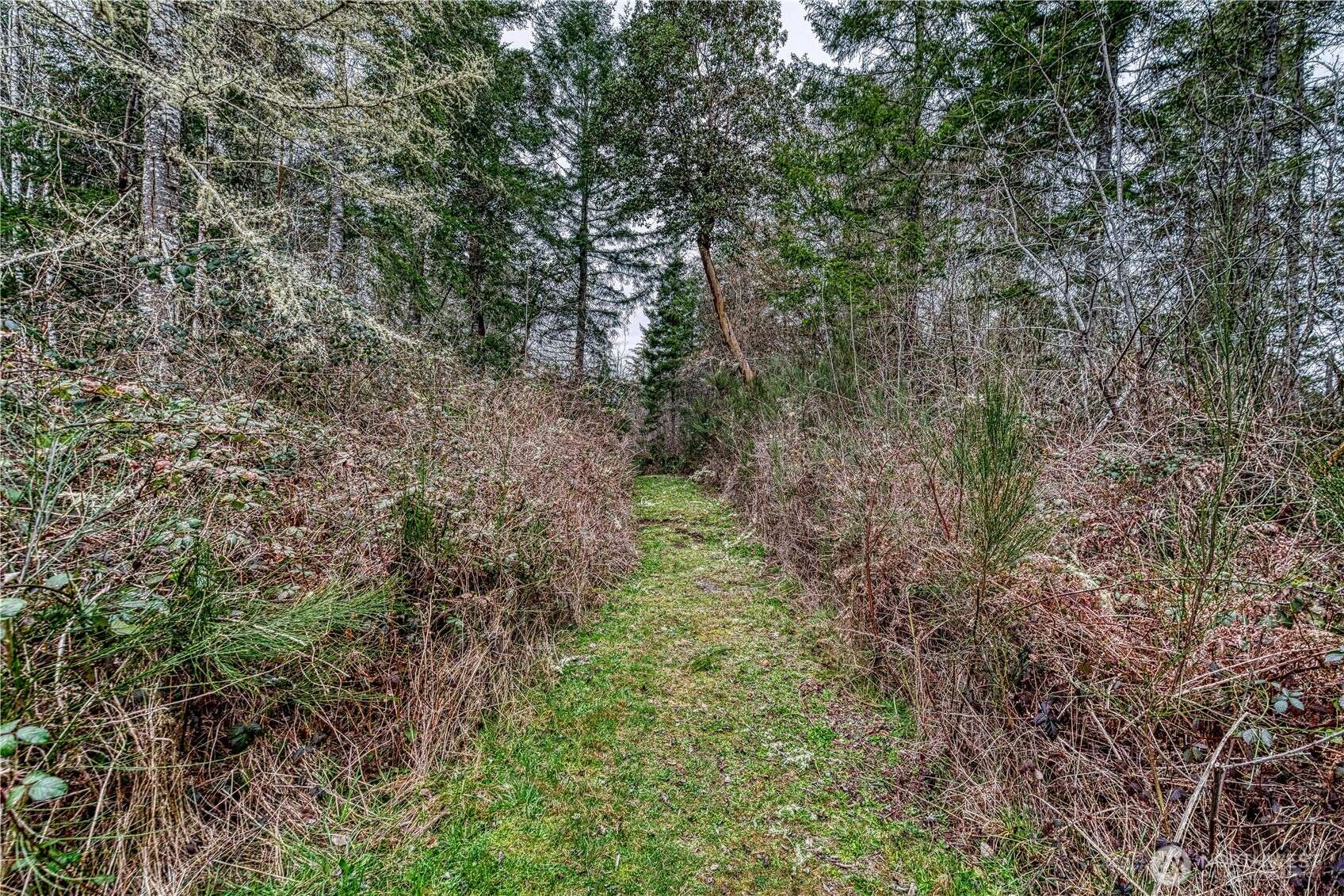 Lakebay, WA 98349,0 xxx Cornwall Rd NW