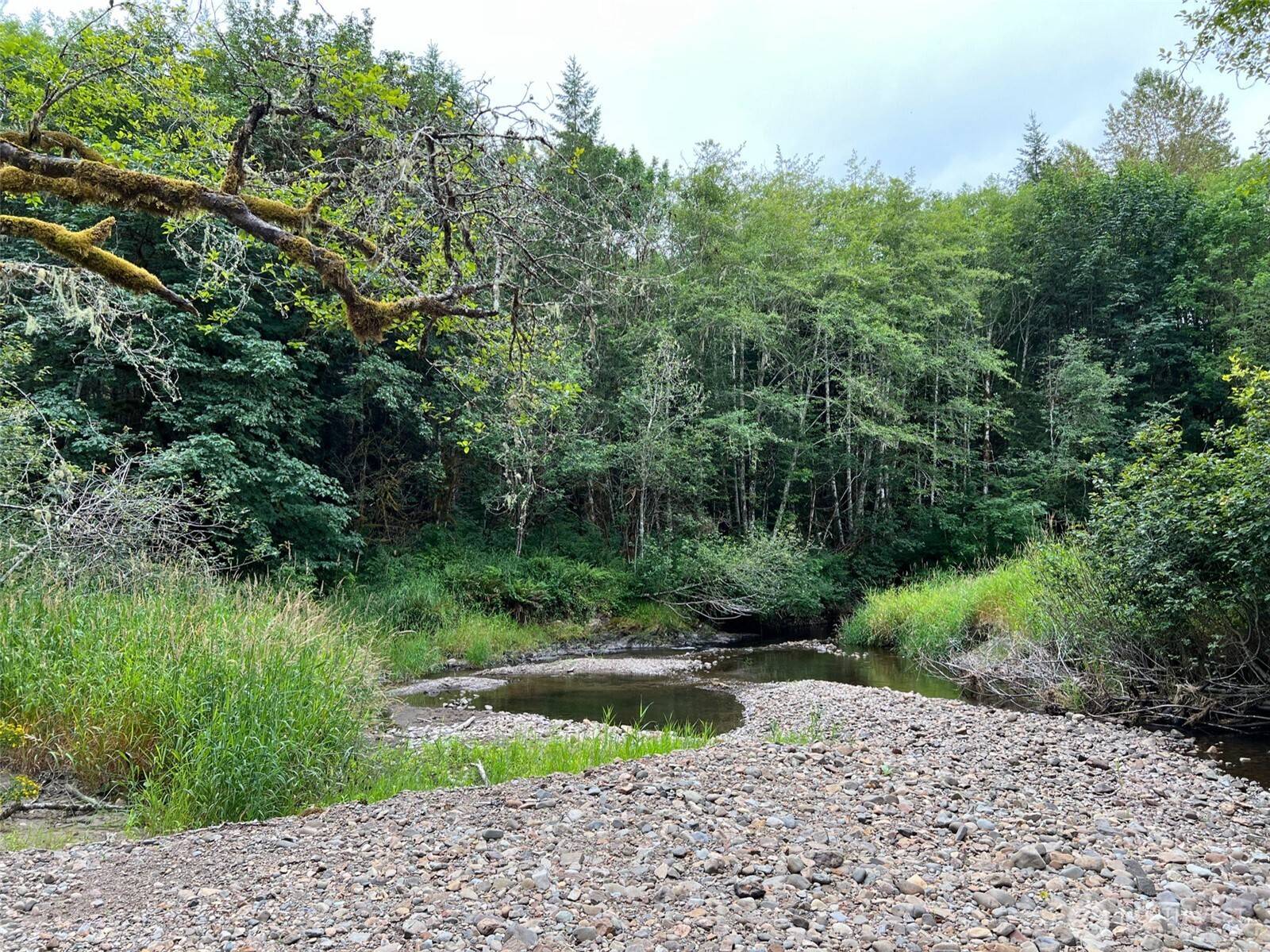 Mossyrock, WA 98564,0 Longbell RD