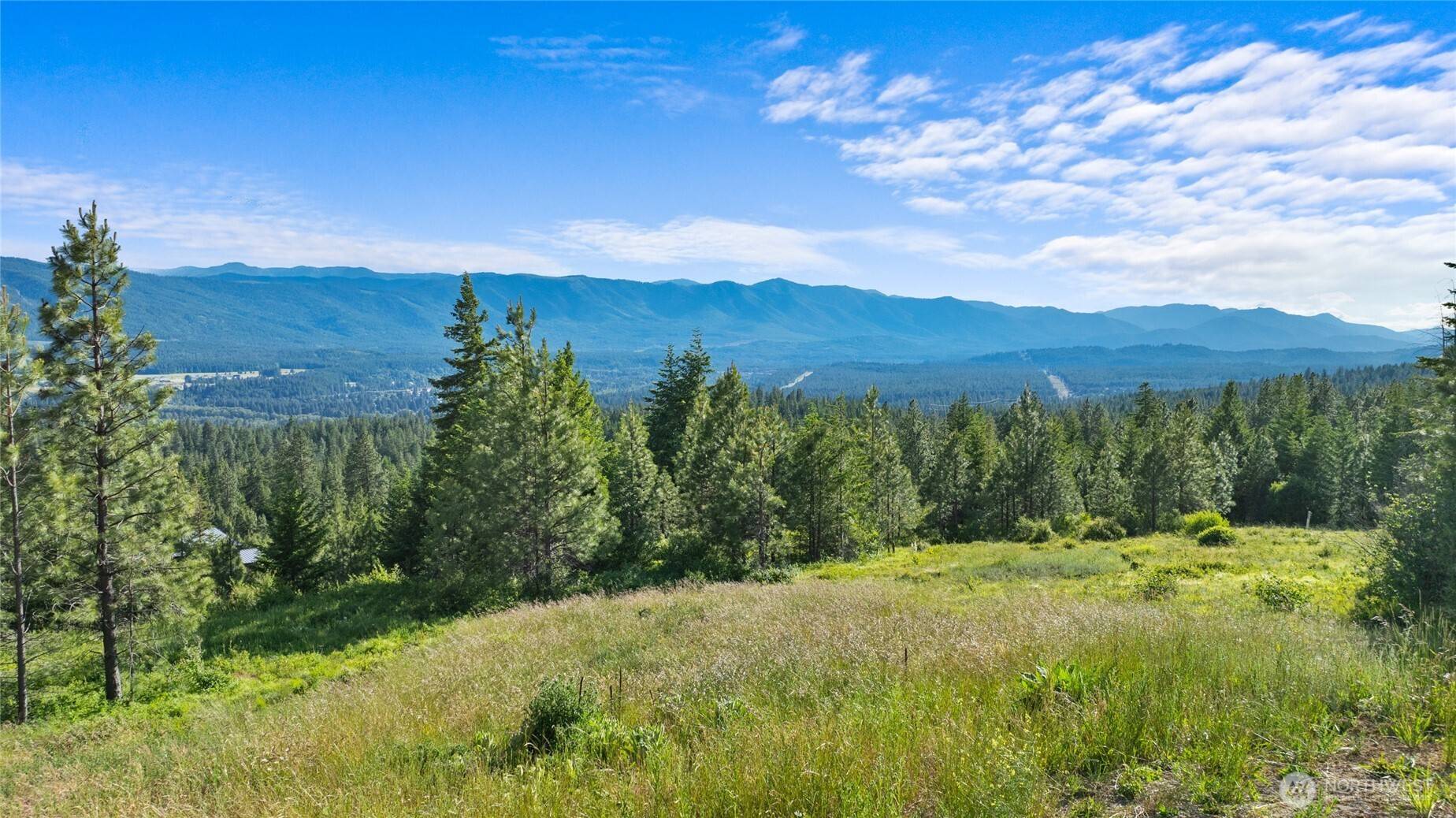 Cle Elum, WA 98922,31 Forest Ridge DR