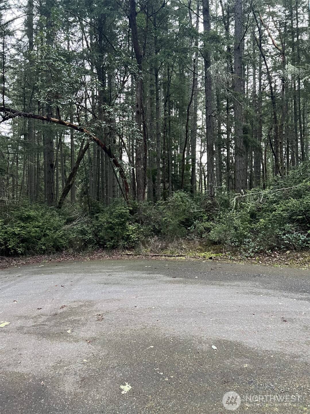 Anderson Island, WA 98303,8811 127th Avenue Ct