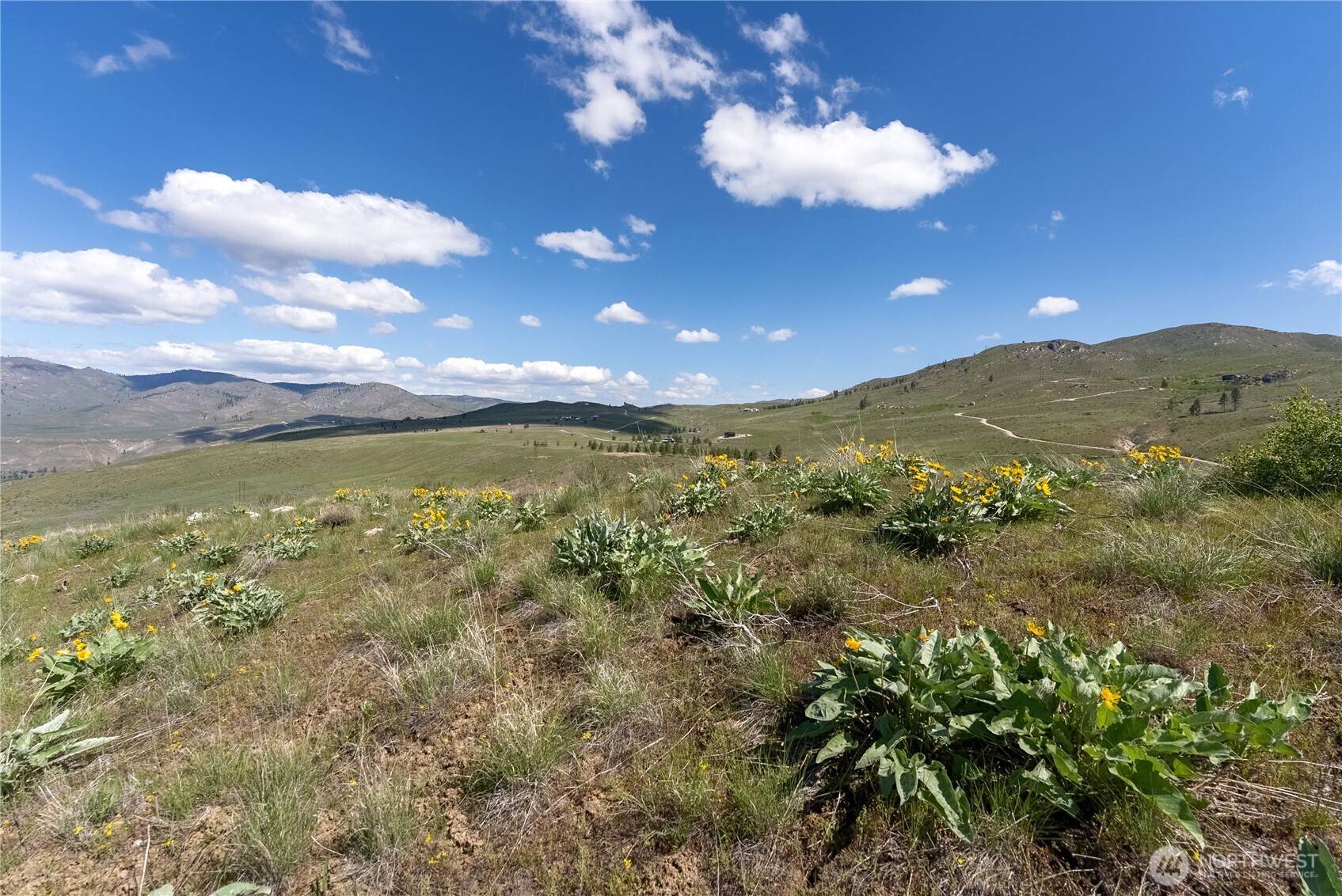 Methow, WA 98834,16 Griffin DR