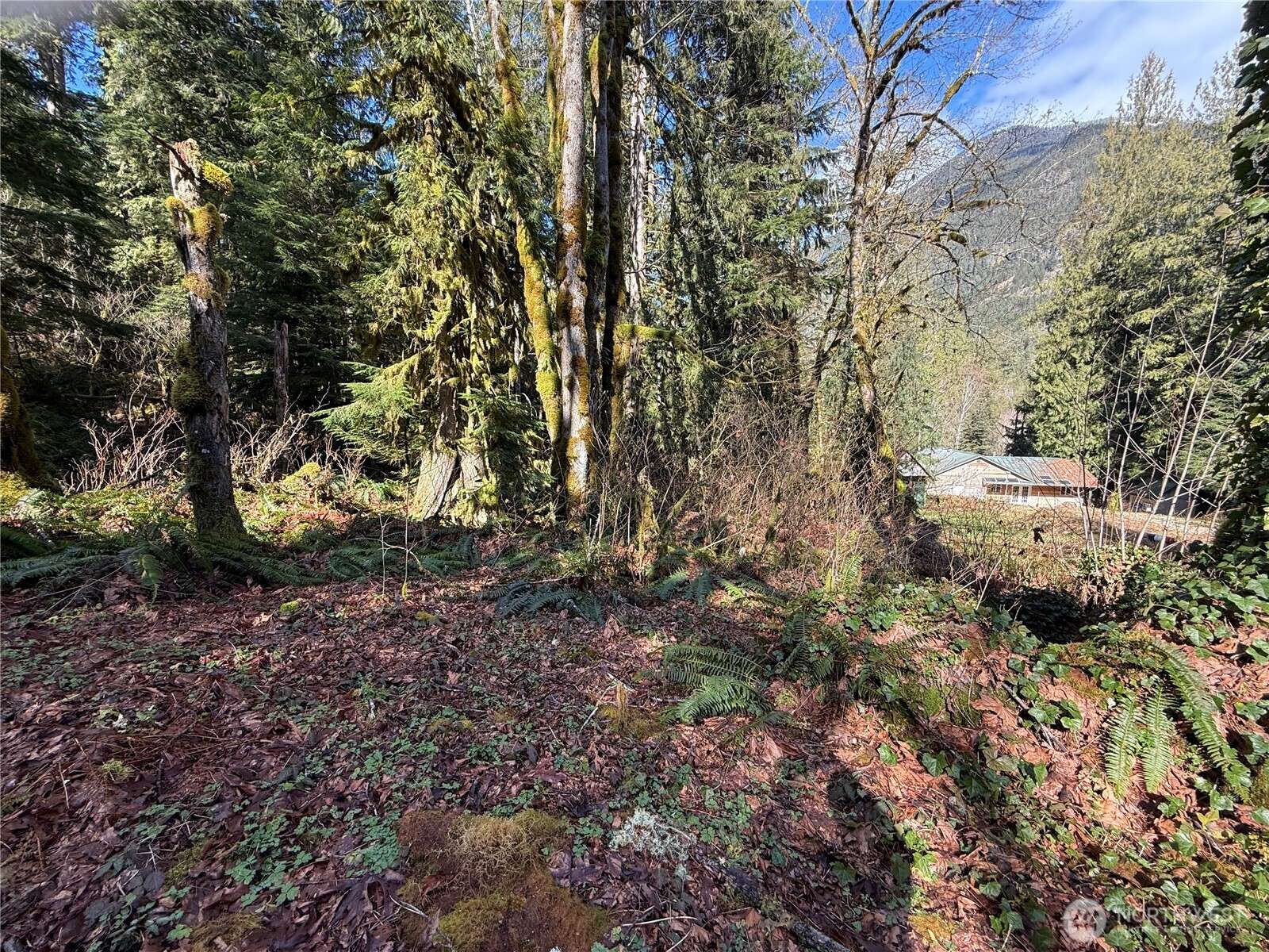 Marblemount, WA 98267,0 High Ridge DR