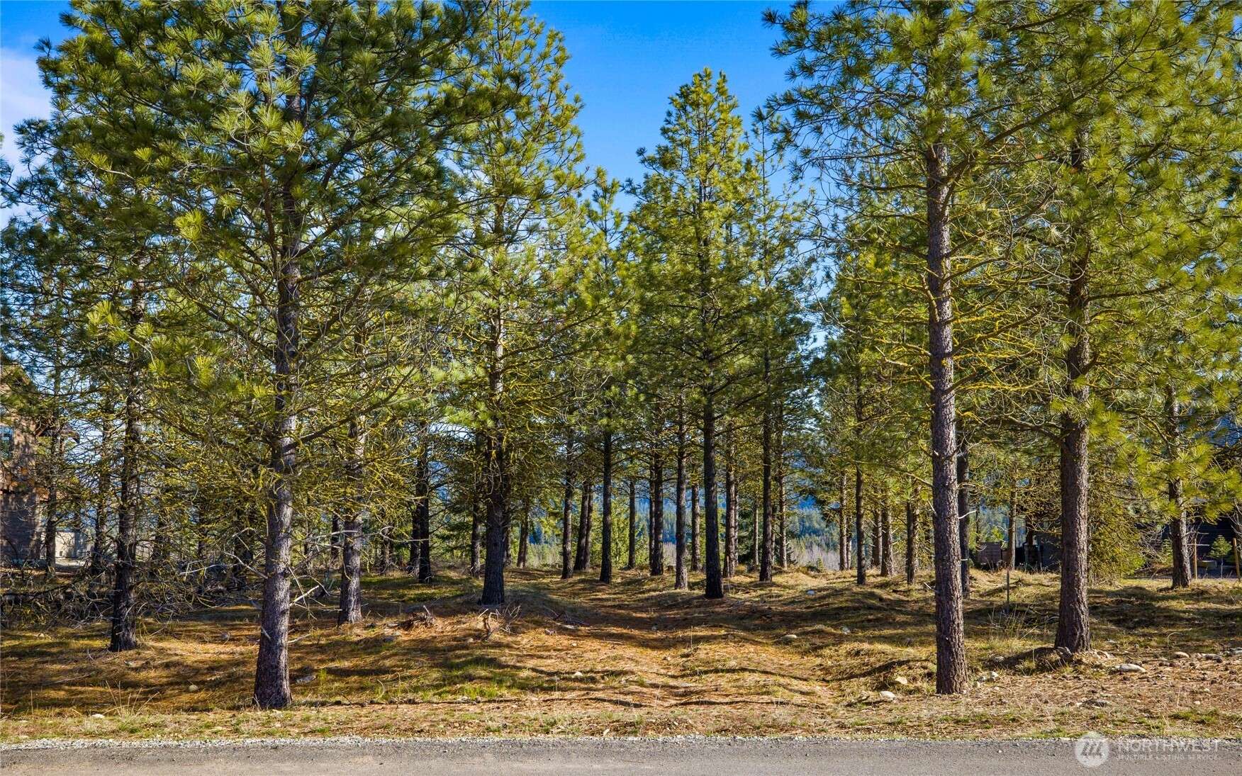 Cle Elum, WA 98922,39 Gold Leaf LN