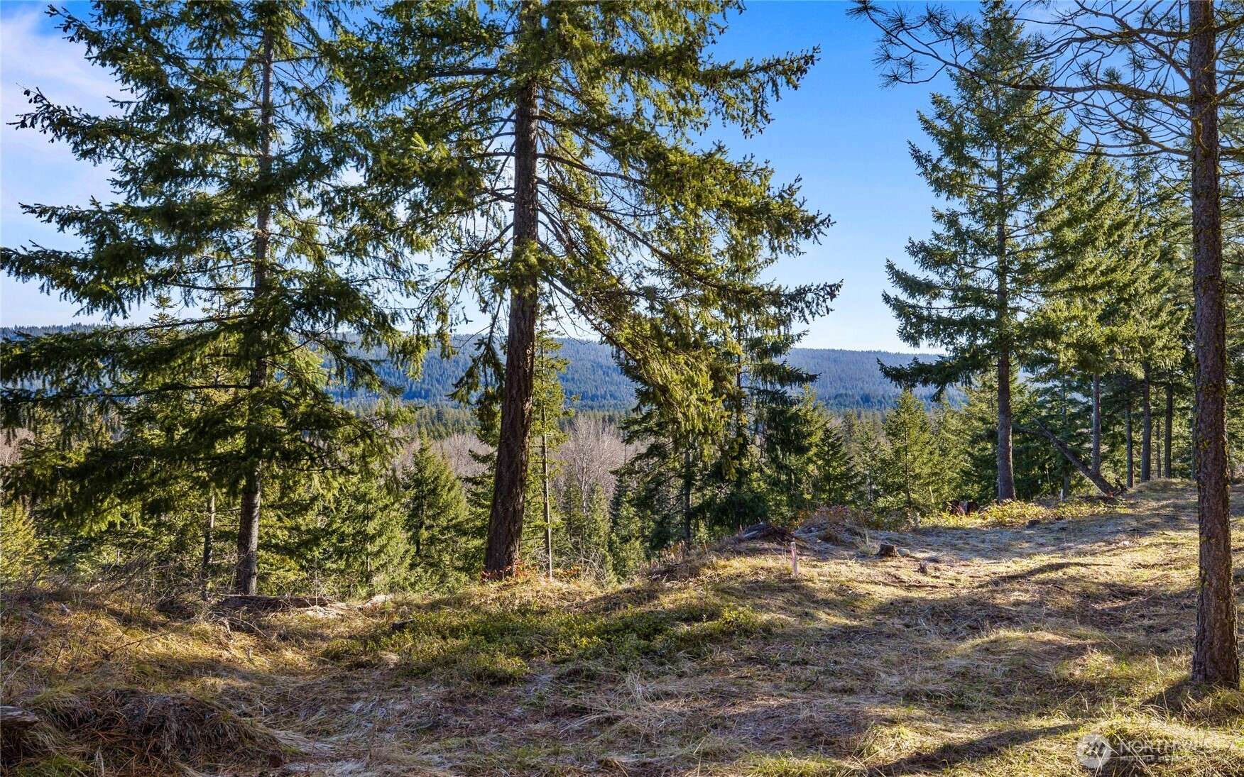 Cle Elum, WA 98922,39 Gold Leaf LN