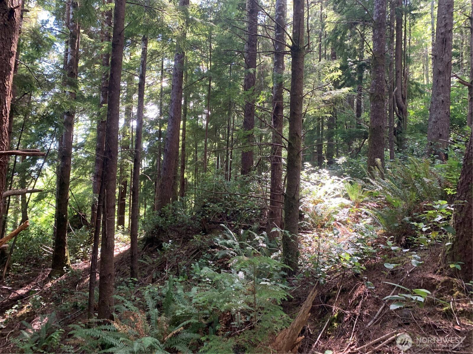 Naselle, WA 98638,285 Parpala RD