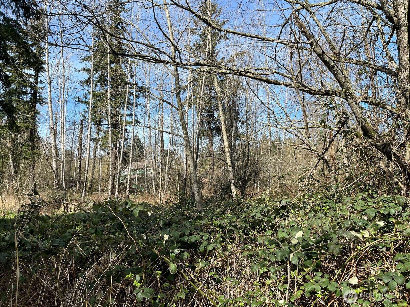 Auburn, WA 98001,0 46th AVE S