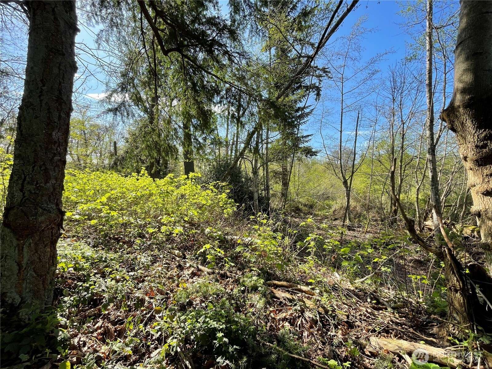 Hat Island, WA 98206,29 K Beach WAY