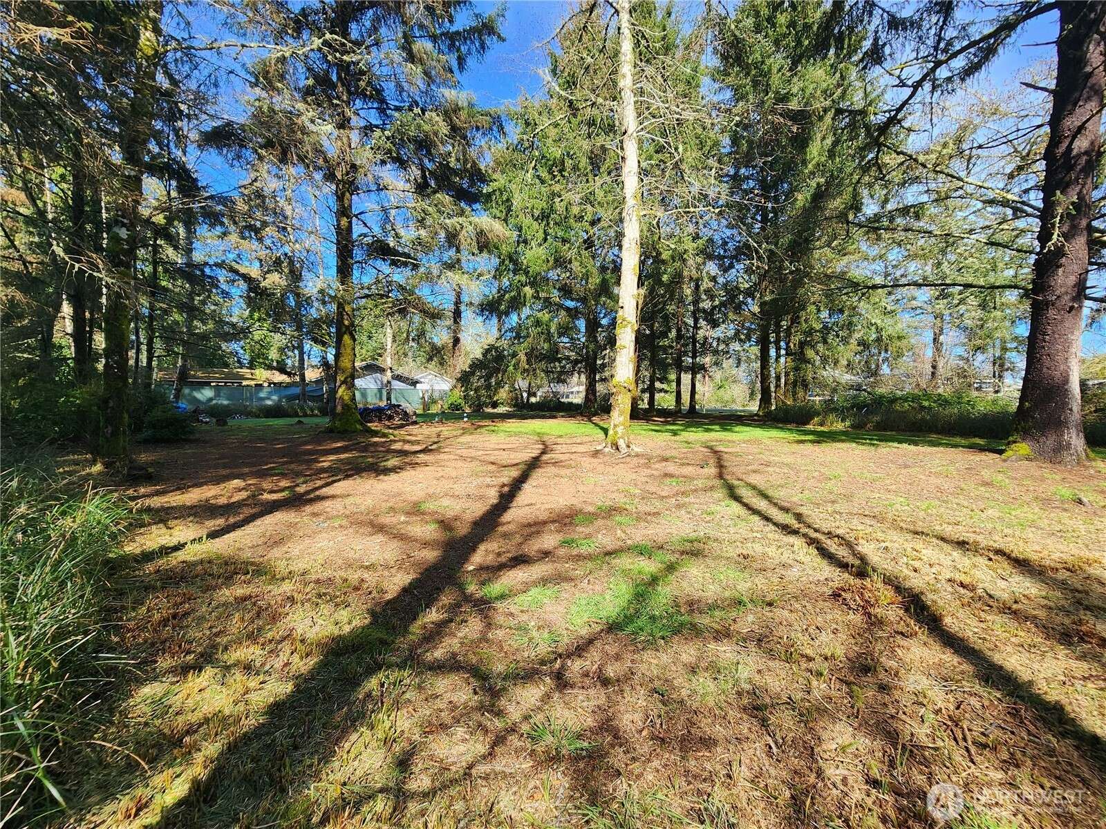 Ocean Shores, WA 98569,701 Wood Duck AVE SE
