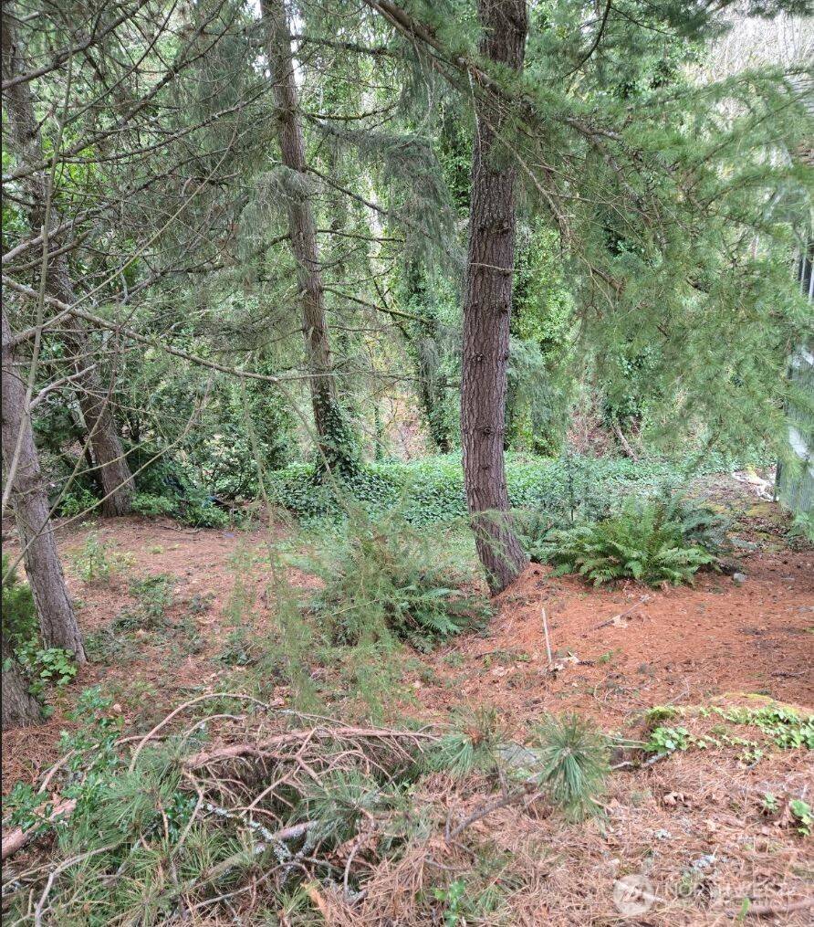 Bellevue, WA 98006,4684 152nd PL SE