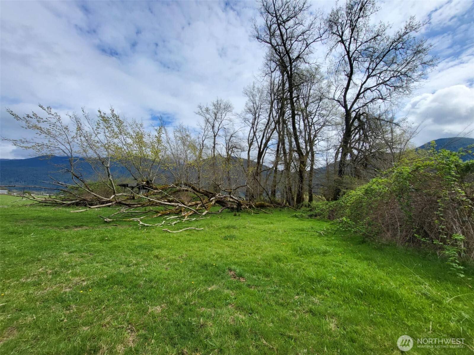 White Pass, WA 98937,241 Pompey Peak Dr/104 Horseshoe