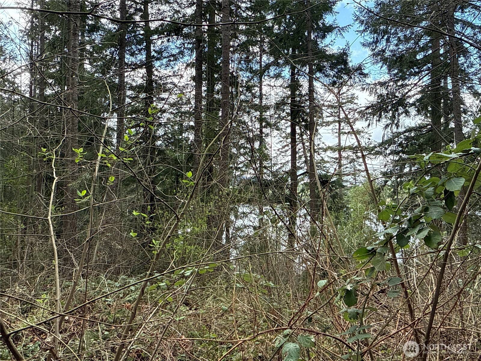 Yelm, WA 98597,18243 SE Suncrest CT