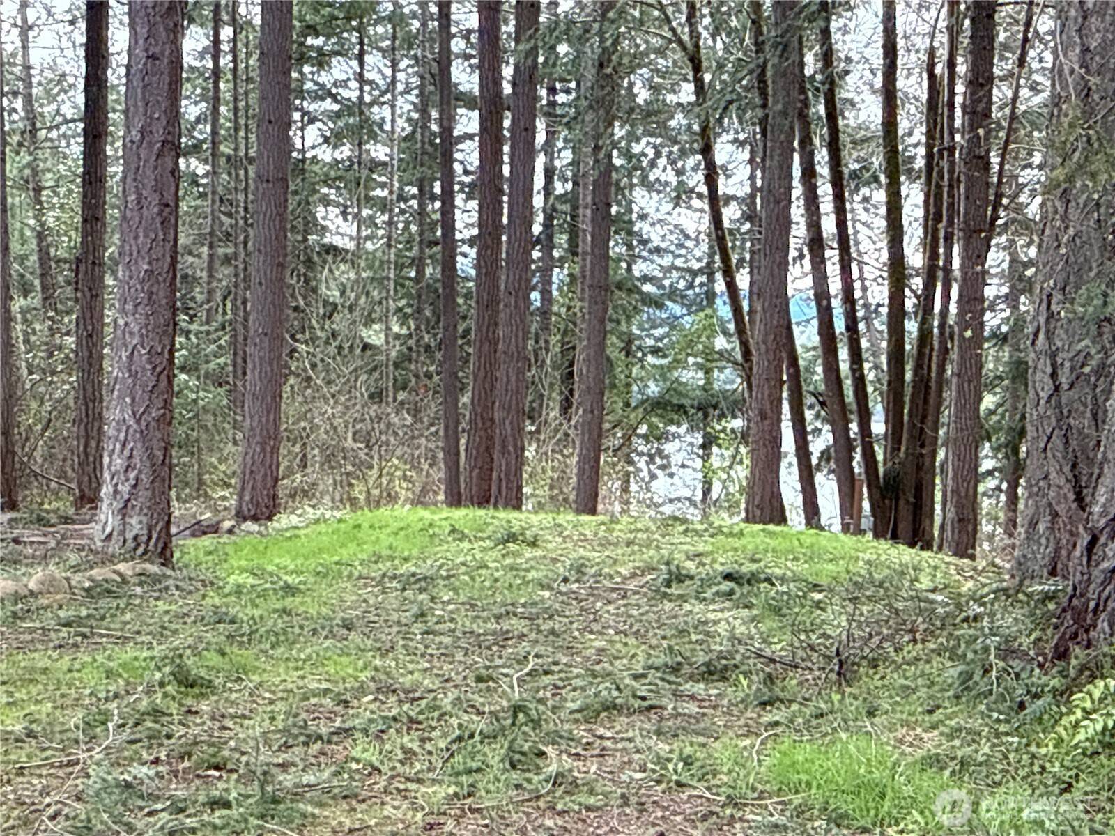 Yelm, WA 98597,18243 SE Suncrest CT
