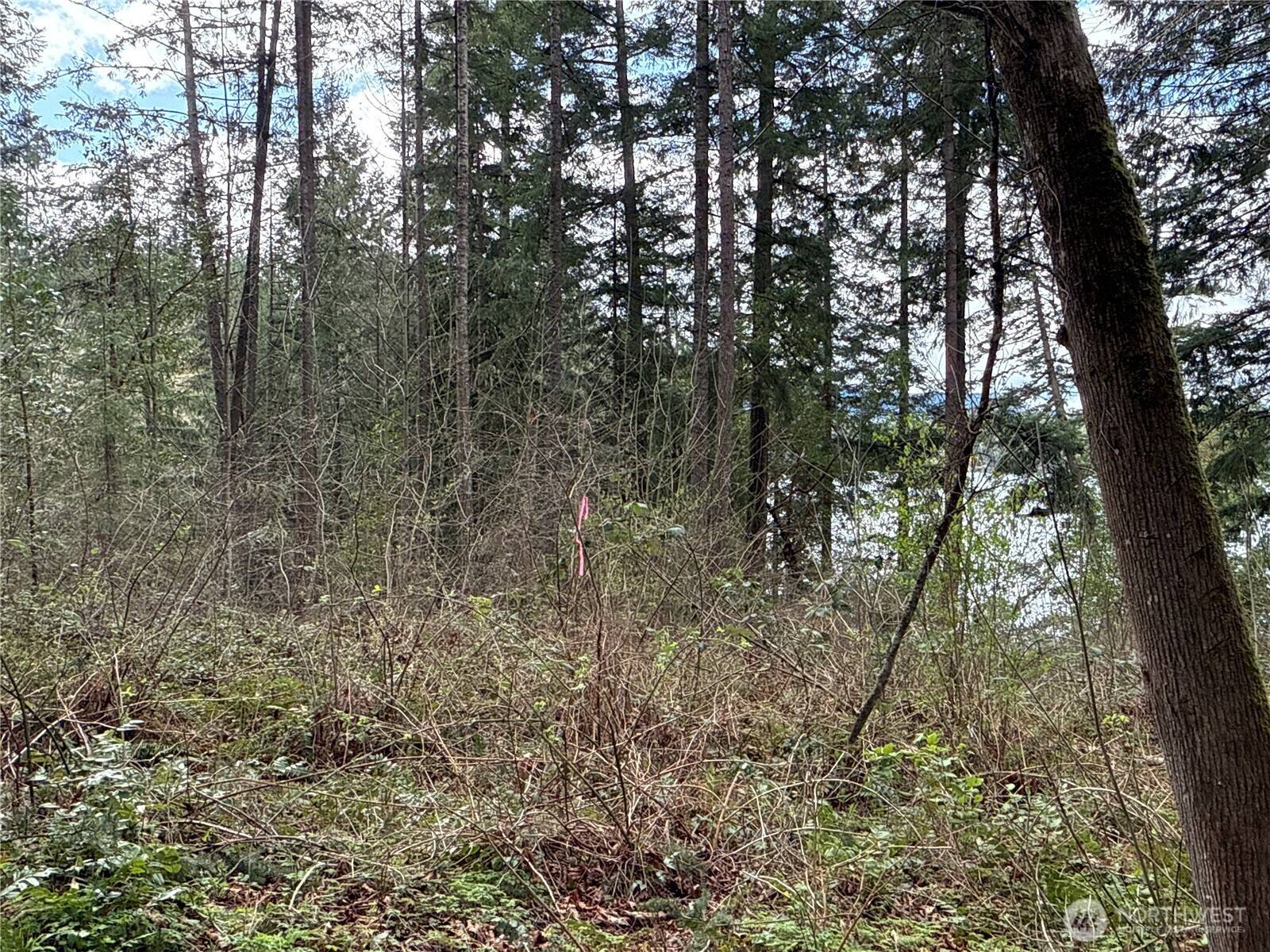 Yelm, WA 98597,18243 SE Suncrest CT