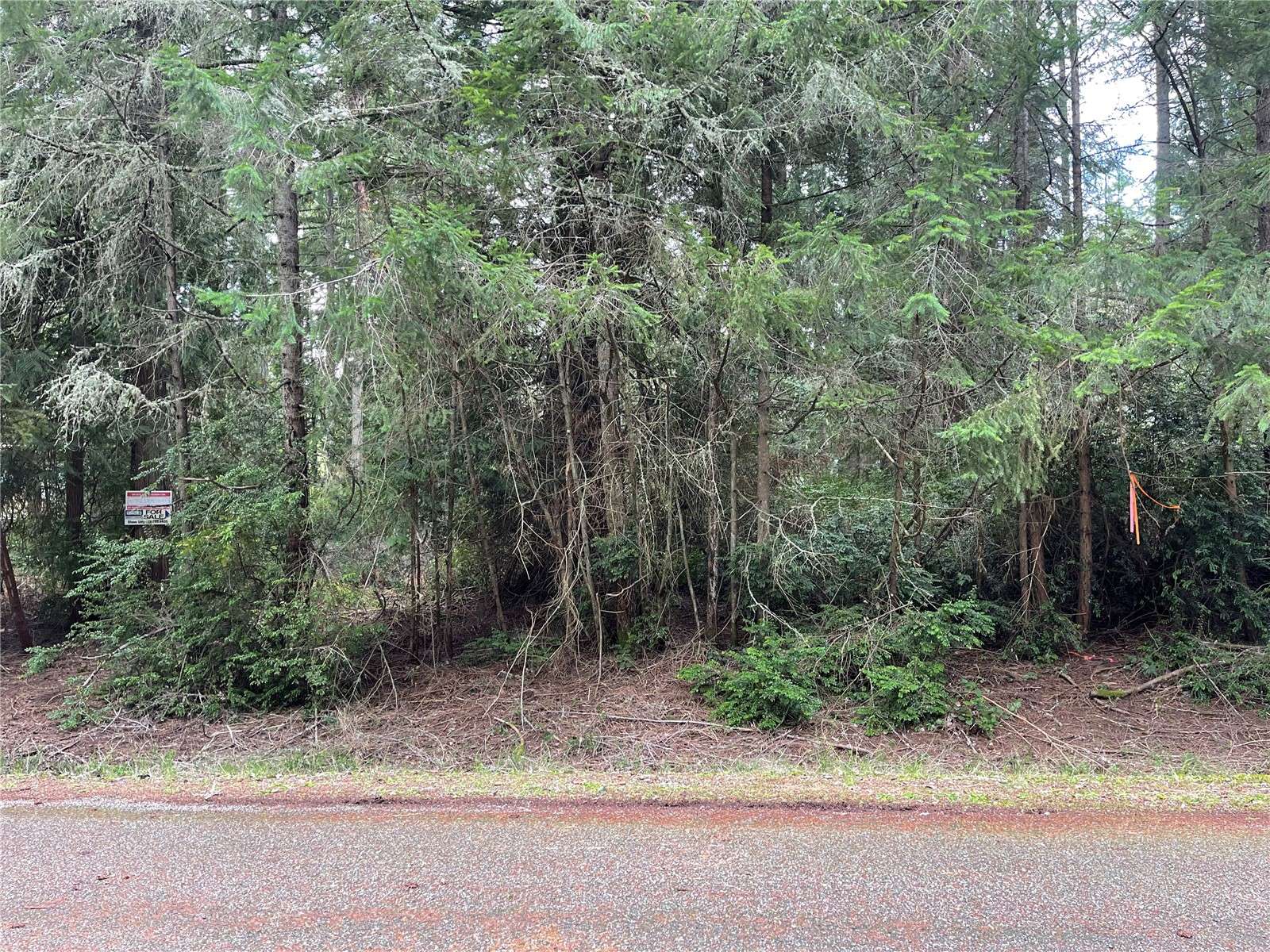 Anderson Island, WA 98303,10712 Lakeshore DR