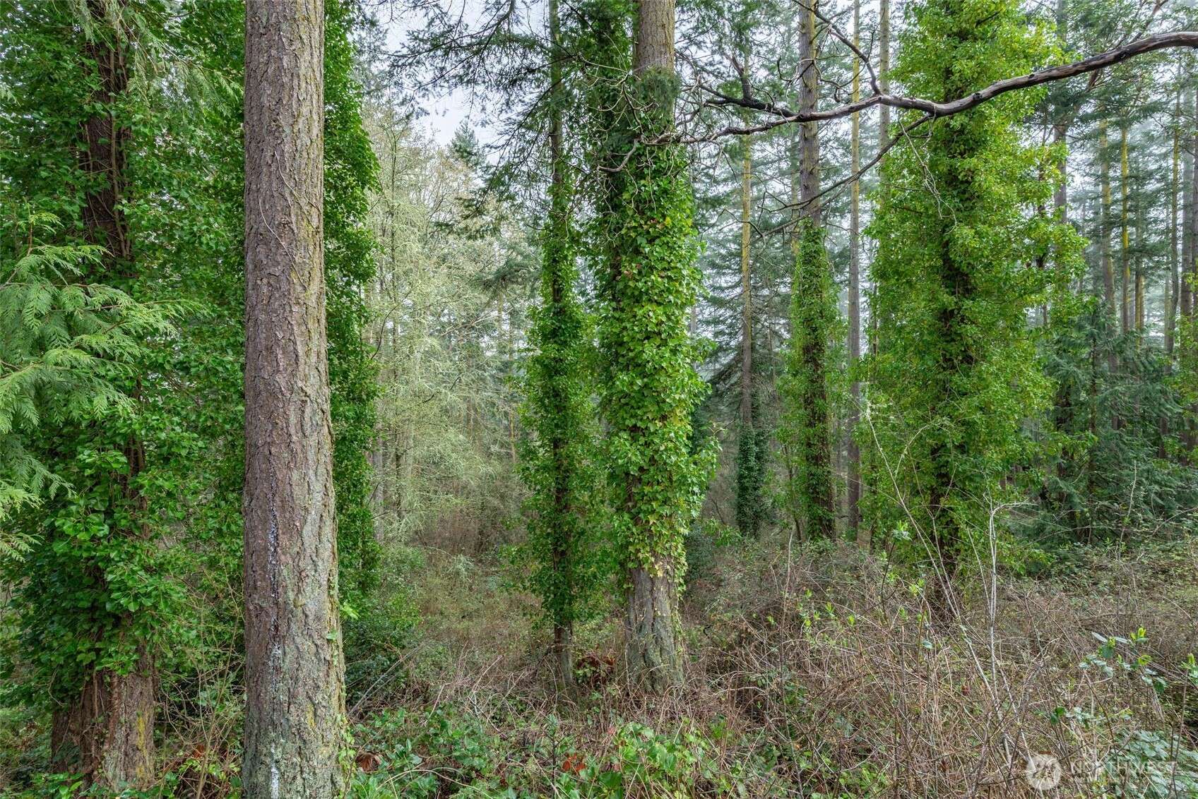 Port Townsend, WA 98368,999 Umatilla AVE