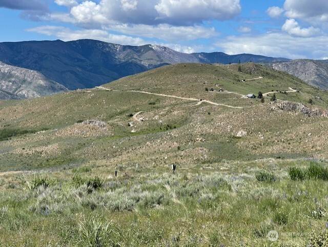 Pateros, WA 98834,0 Lot 59 Bill Shaw RD