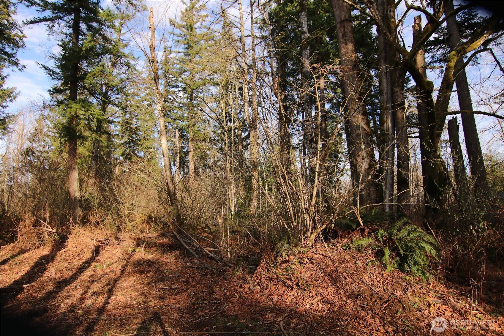 Bellingham, WA 98226,0 Goshen RD