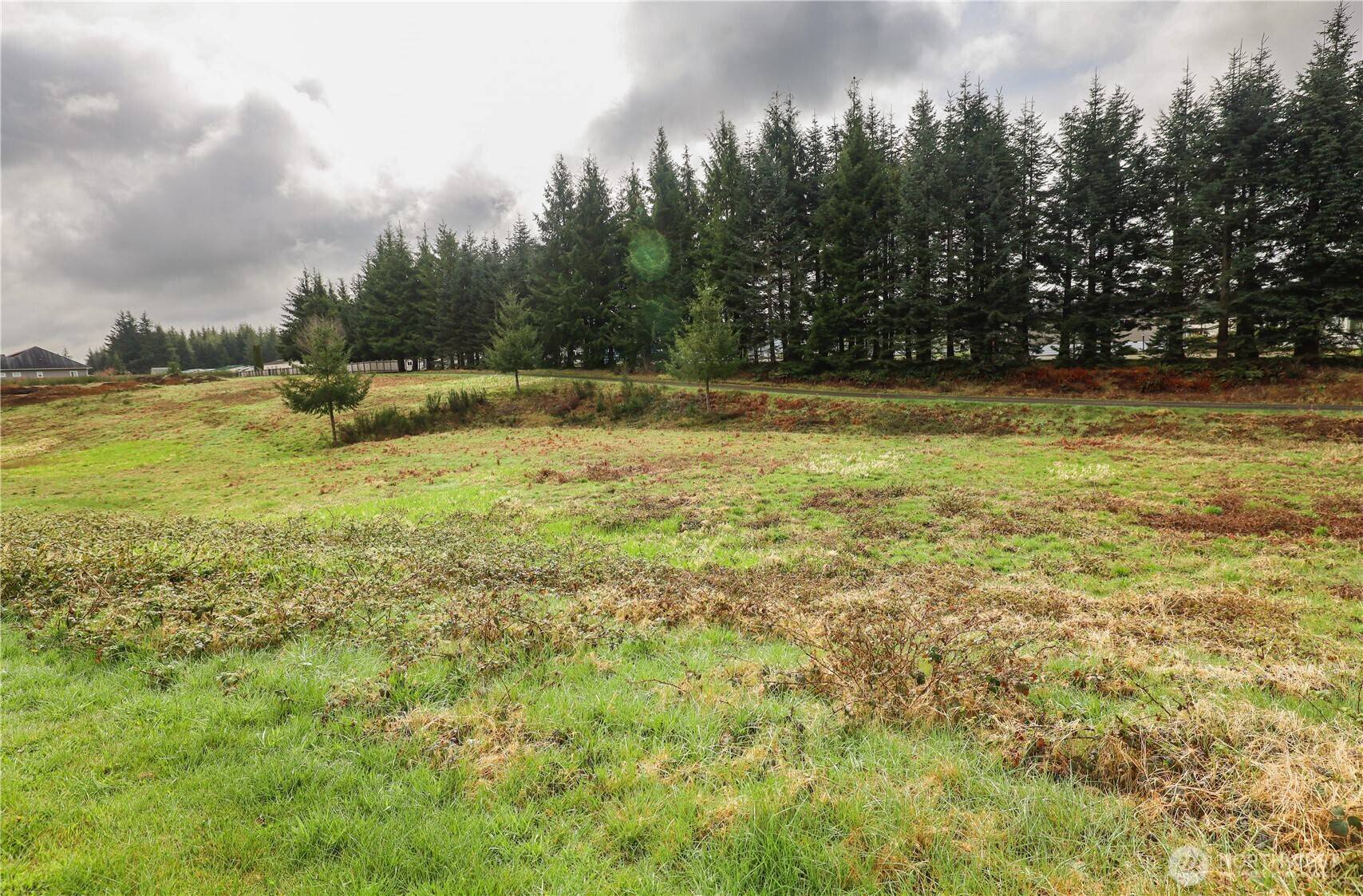 Montesano, WA 98563,6 Grace LN