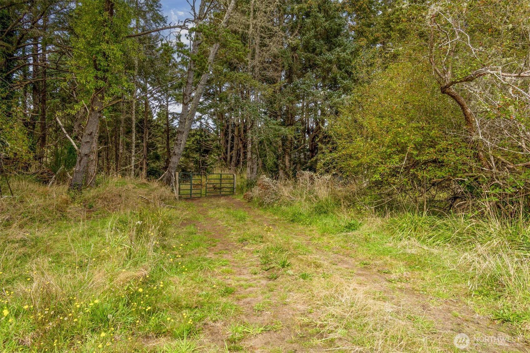 Long Beach, WA 98631,1203 179th LN
