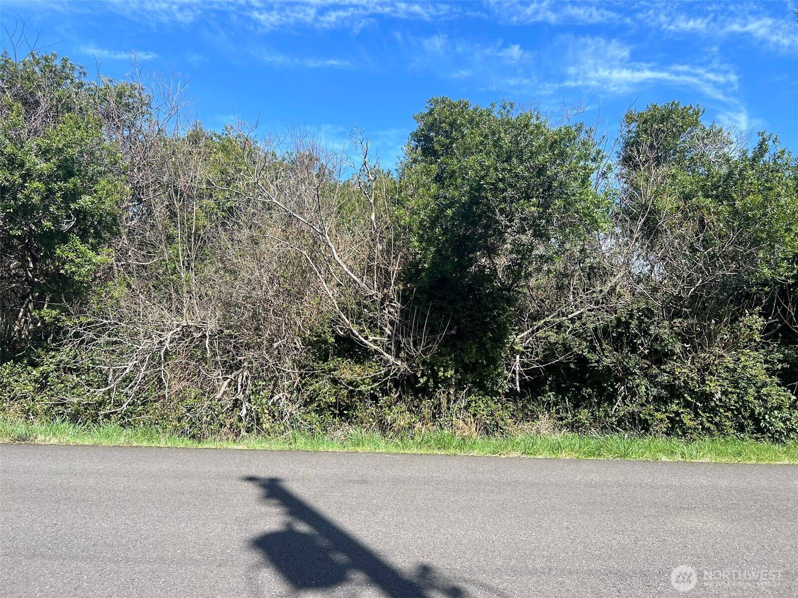 Ocean Shores, WA 98569,314 S Seashore ST SW