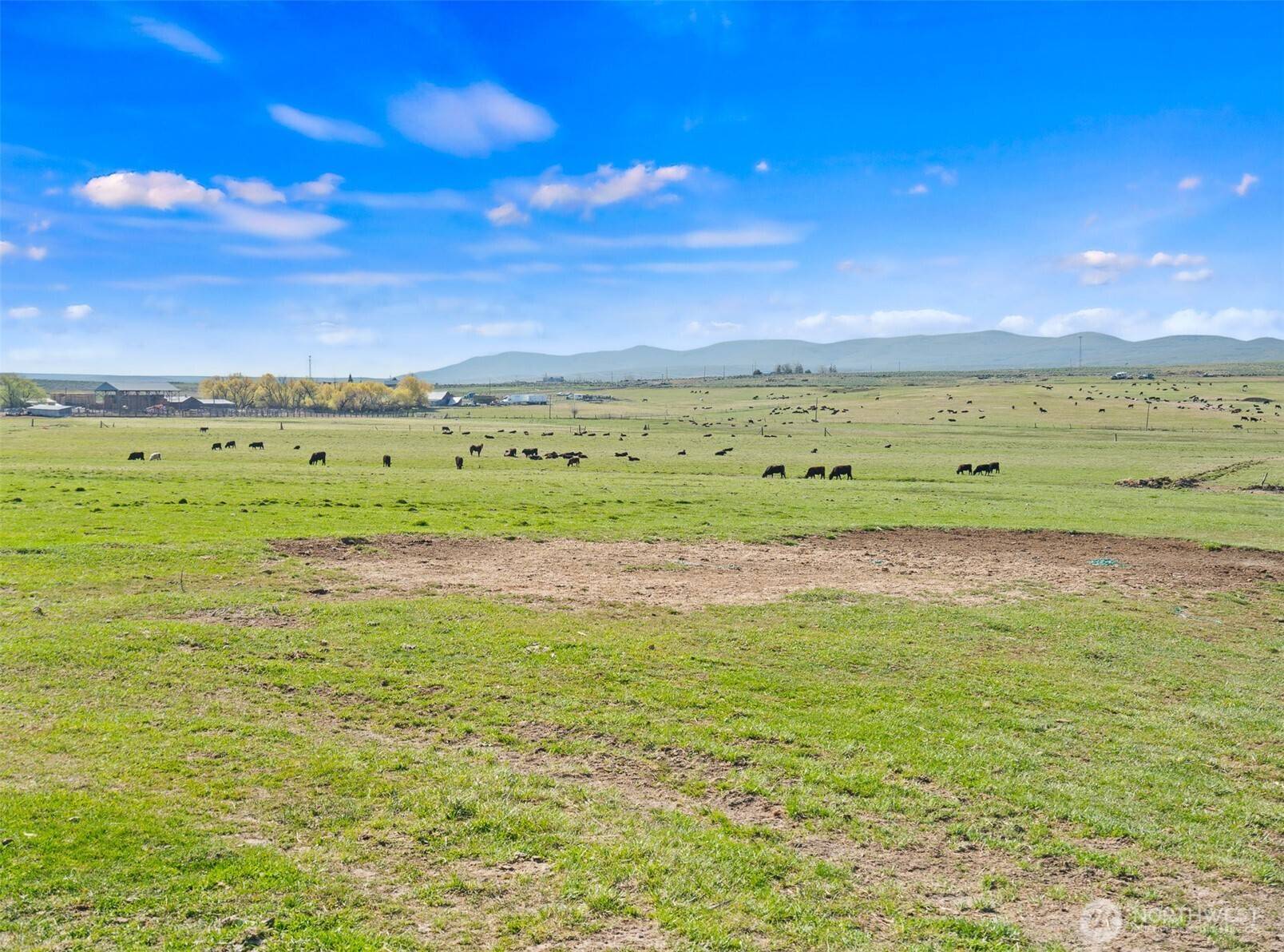 Ellensburg, WA 98926,3305 Stevens RD