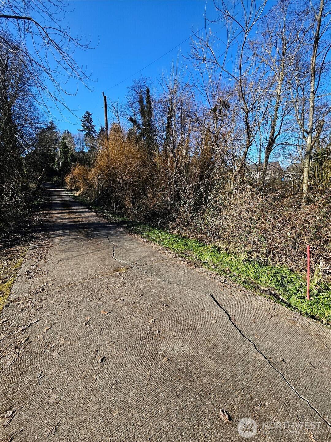 Tukwila, WA 98168,13610 Macadam RD S