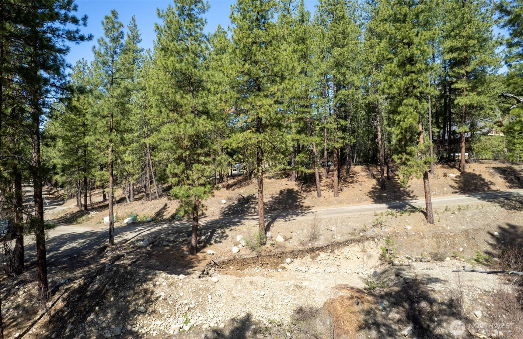 Winthrop, WA 98862,94 Homestead RD