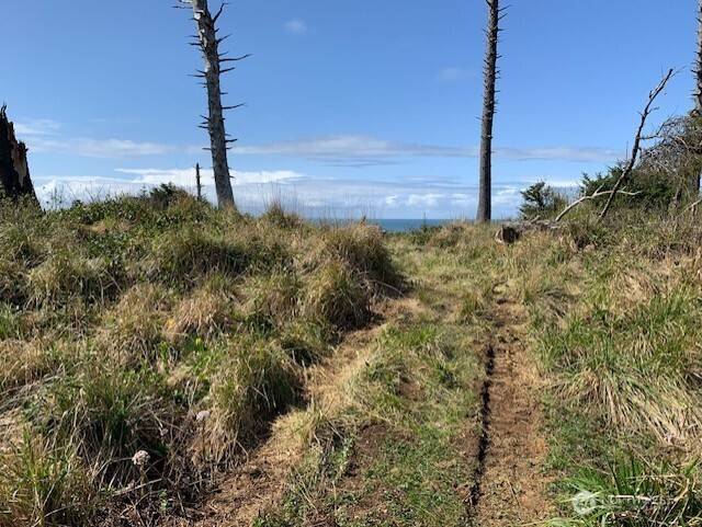 Pacific Beach, WA 98571,58 Chauncey LN
