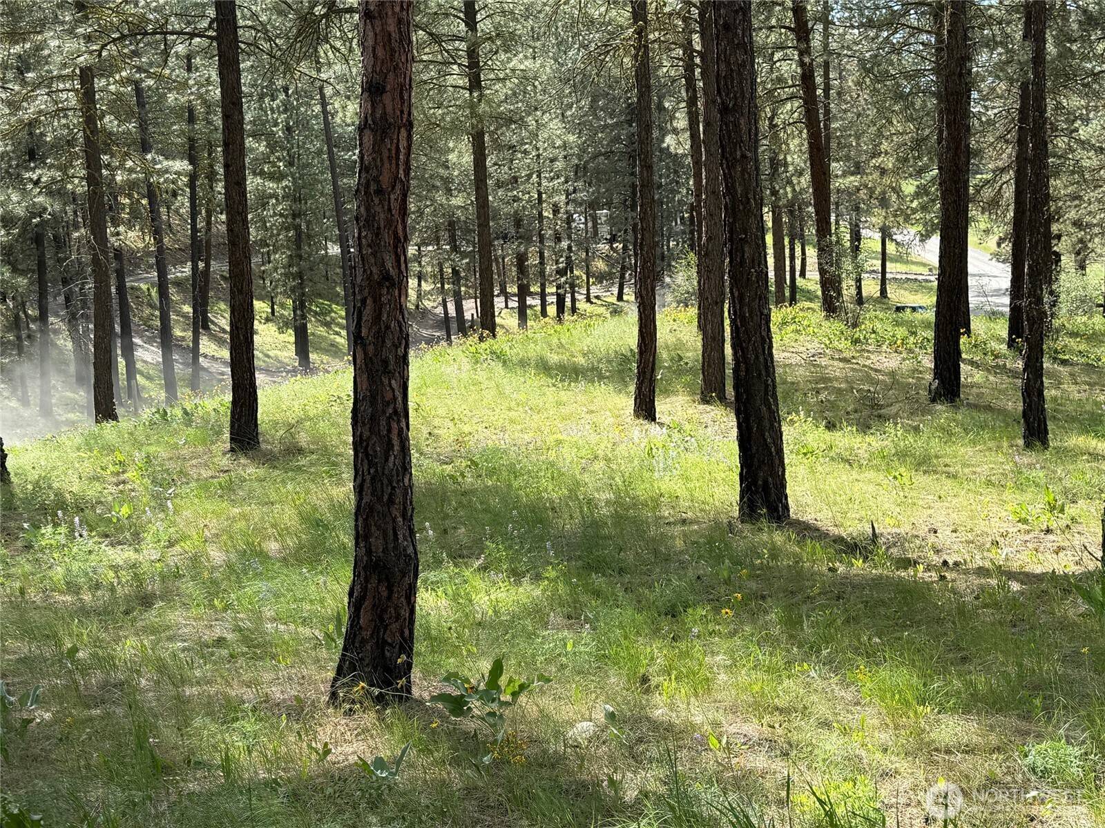 Winthrop, WA 98862,21 Twin Lakes Dr.