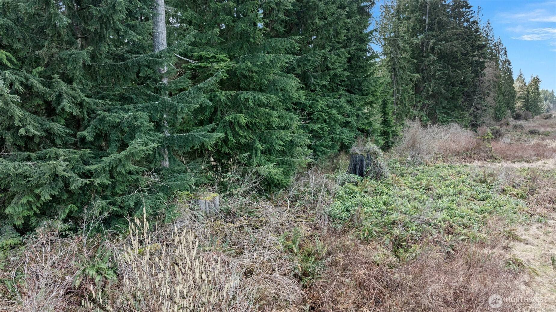 Snohomish, WA 98290,0 215th AVE SE