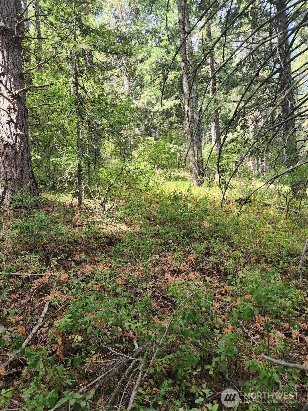 Cle Elum, WA 98922,0 Klancie LN