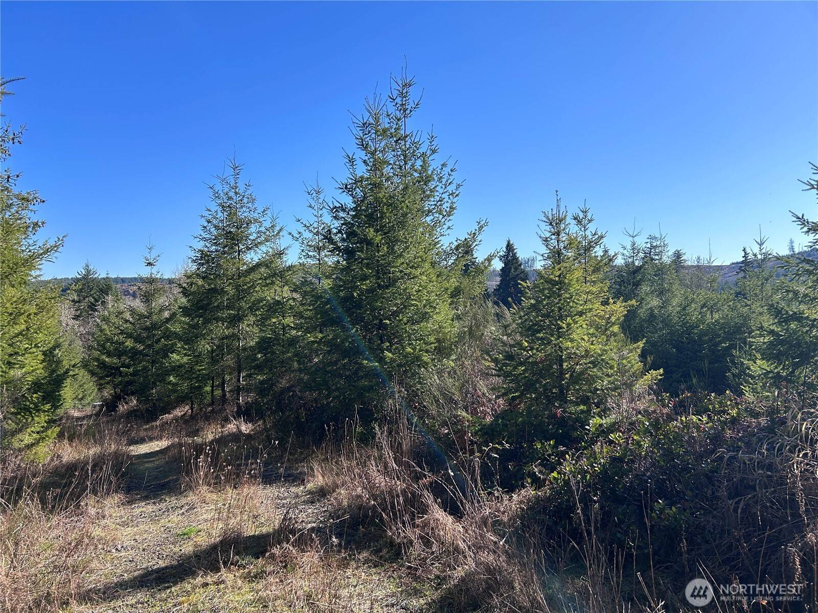 Toledo, WA 98591,0 NKA Salmon Creek RD