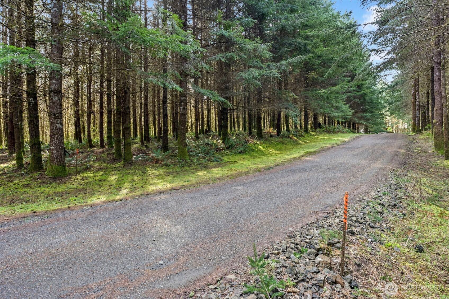 Raymond, WA 98577,0 XX South Fork Rd RD