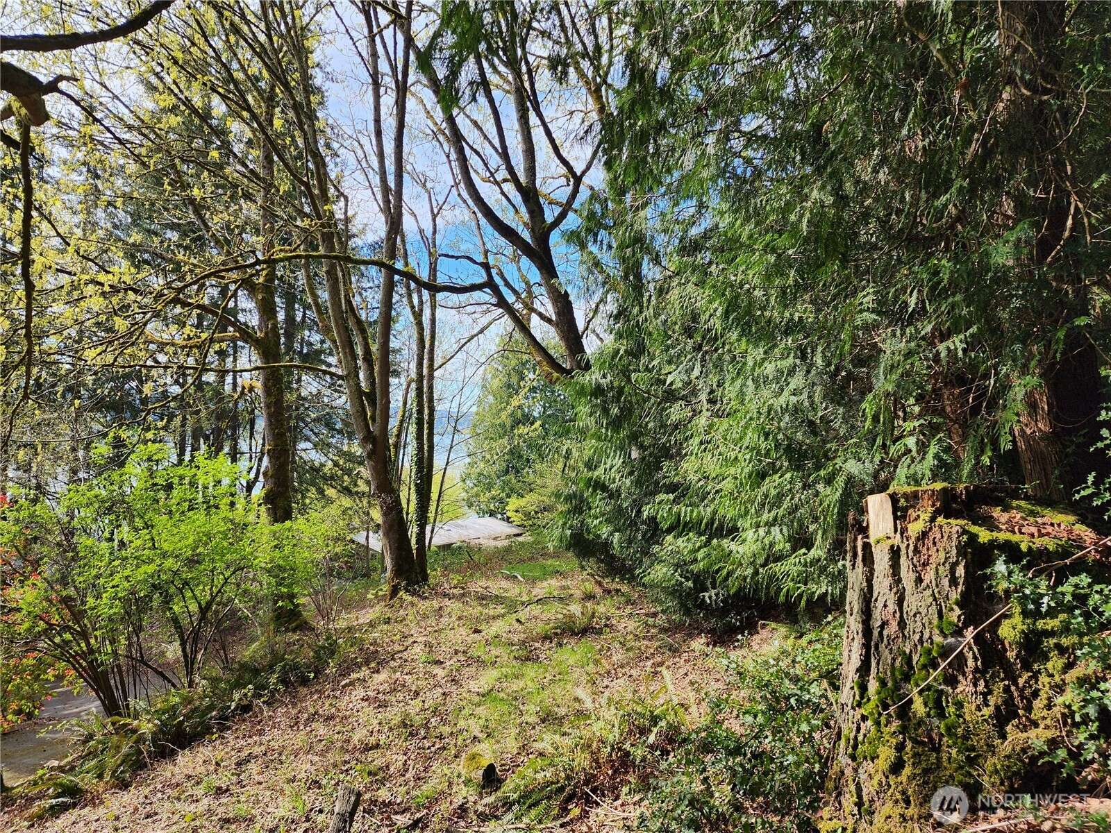 Sammamish, WA 98074,0 E Lake Sammamish Pkwy NE