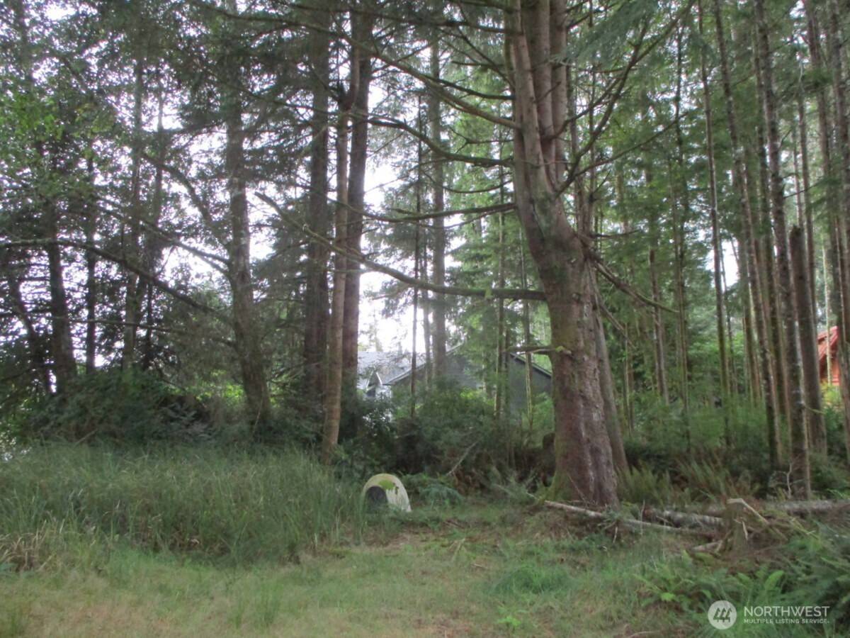 Ocean Shores, WA 98569,111 Olympic View AVE NE