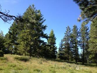 Cle Elum, WA 98922,20 XX Microwave RD