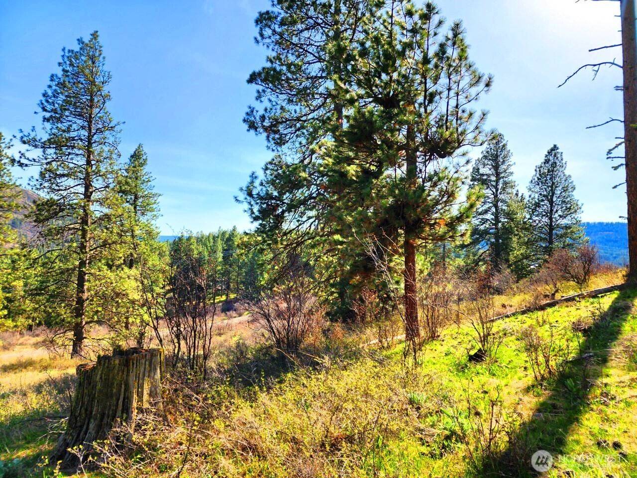 Cle Elum, WA 98922,4 C Swauk Pines RD