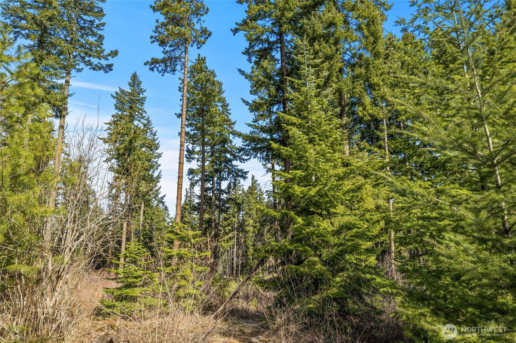 Cle Elum, WA 98922,161 Sanctuary CT