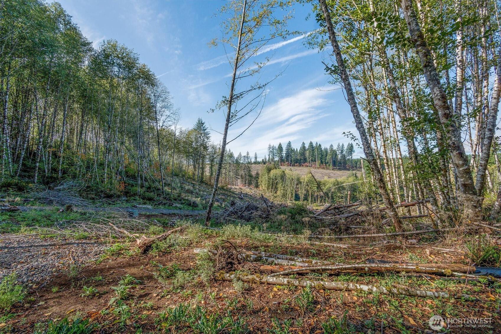 Longview, WA 98632,217 Deer Fern LN