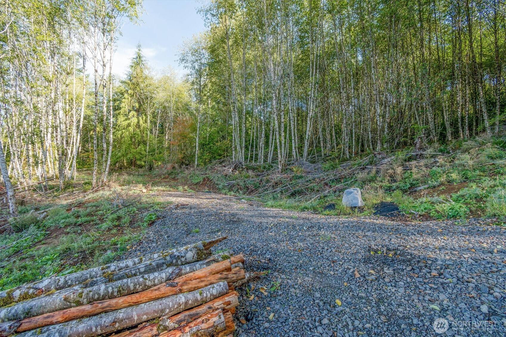 Longview, WA 98632,217 Deer Fern LN