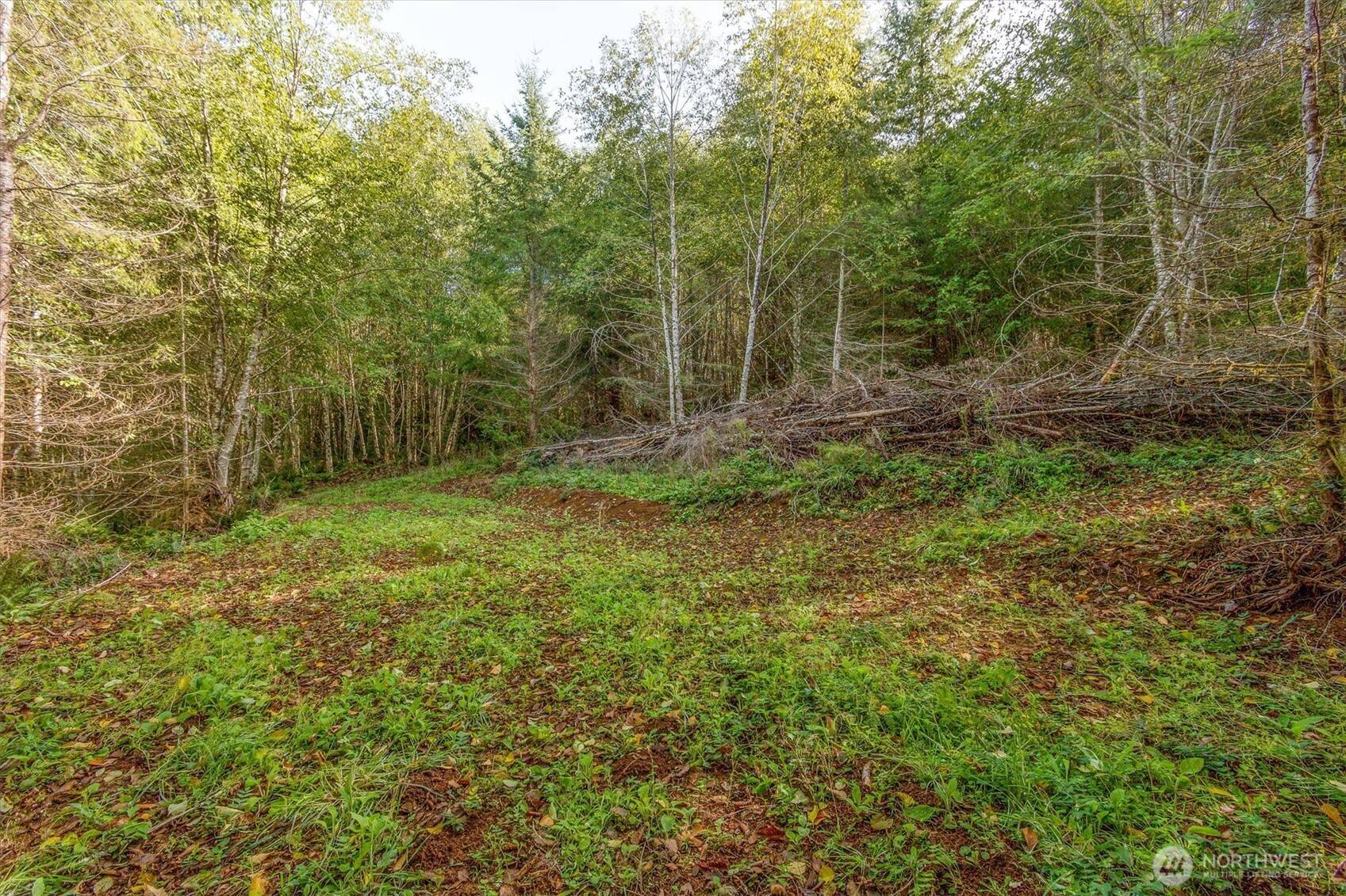 Longview, WA 98632,217 Deer Fern LN