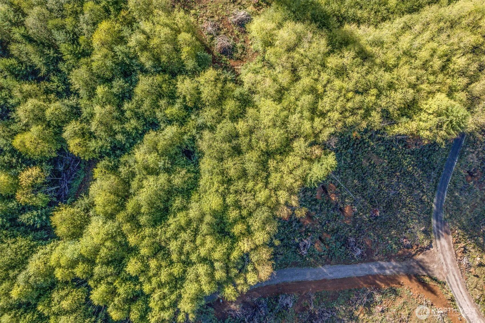 Longview, WA 98632,225 Deer Fern LN