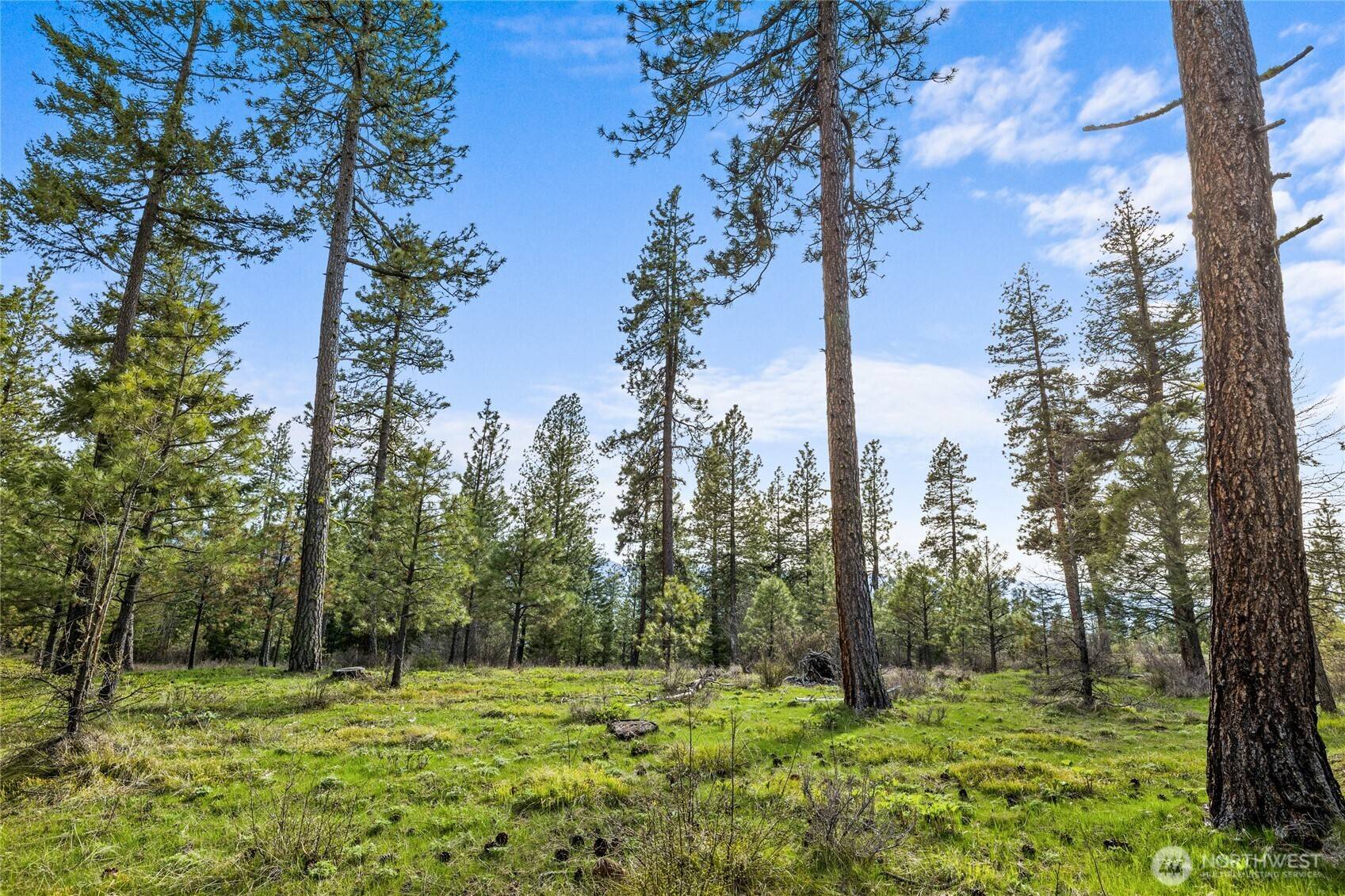 Cle Elum, WA 98922,0 XXX Creekside DR