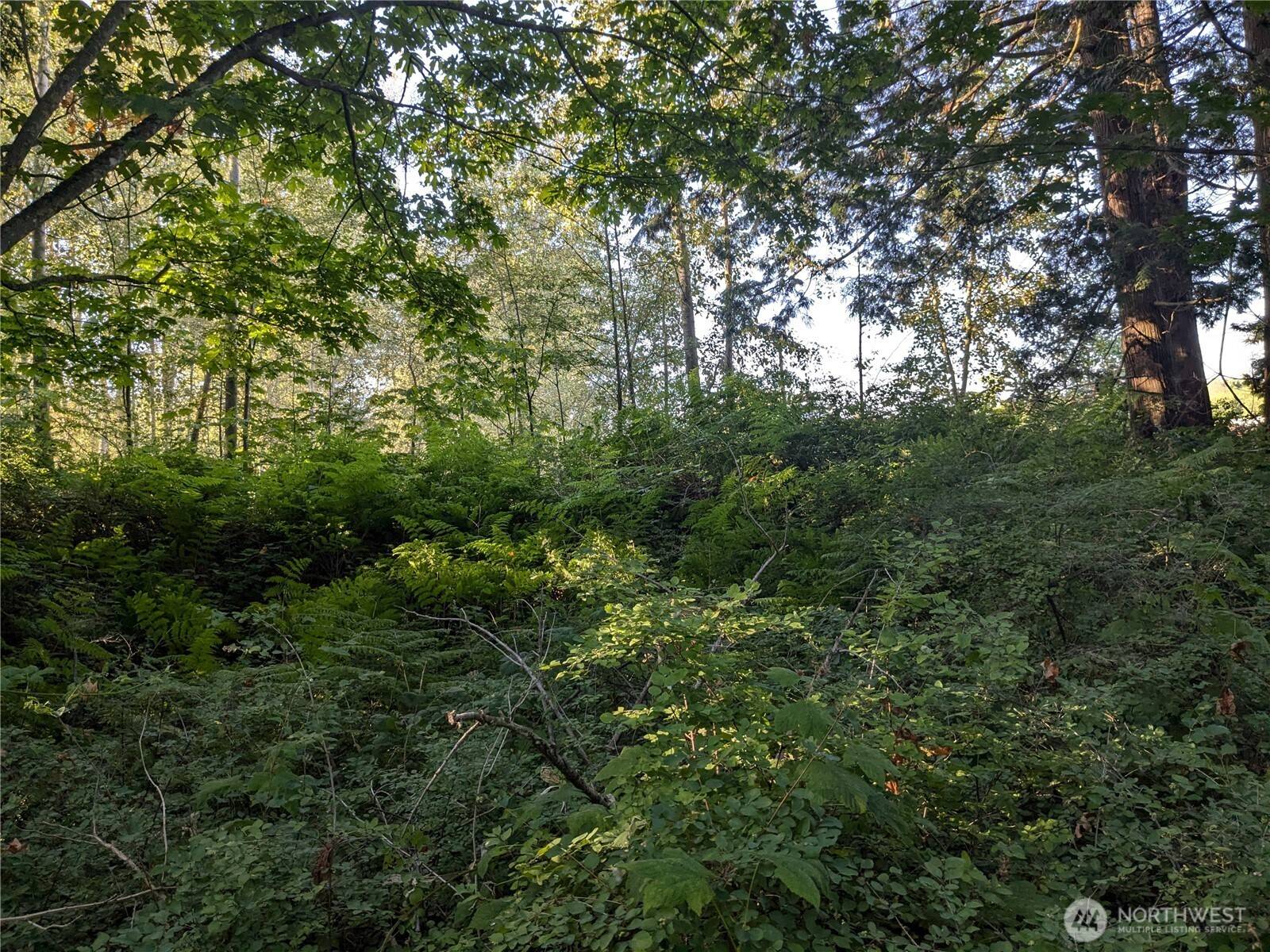 Ferndale, WA 98248,0 XX Olson