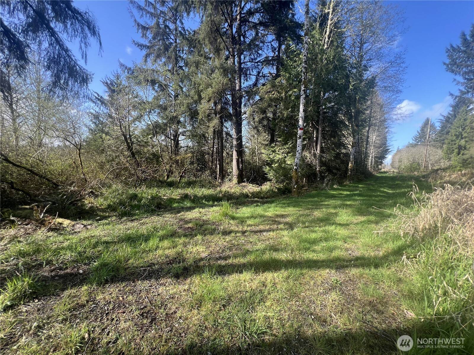 Cosmopolis, WA 98537,0 3rd St