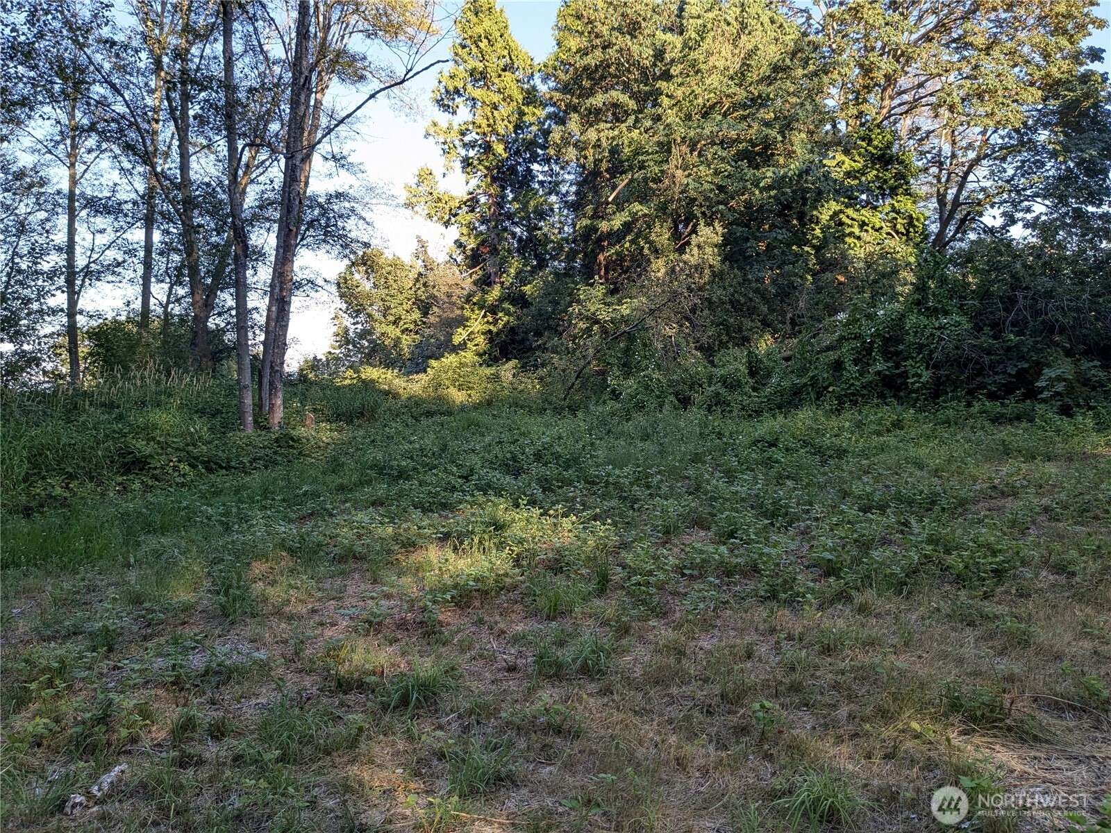 Ferndale, WA 98248,0 XX Lampman RD