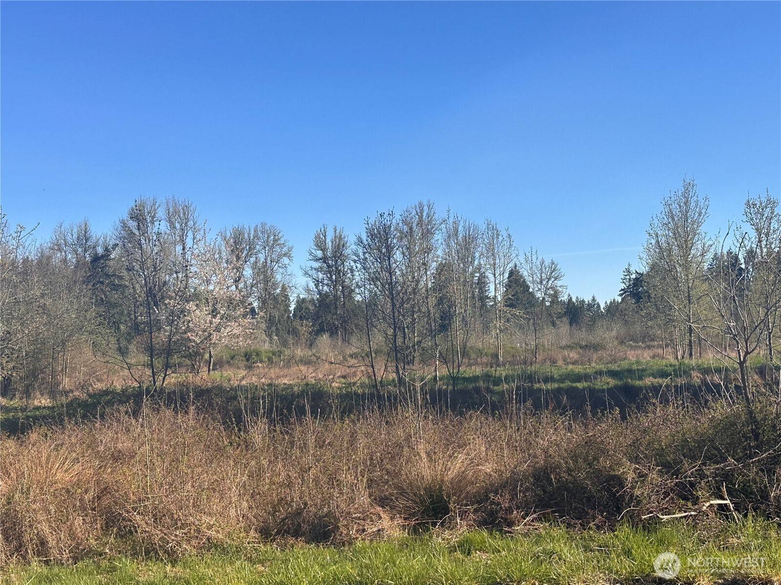 Toledo, WA 98591,517 Toledo Salmon Creek RD