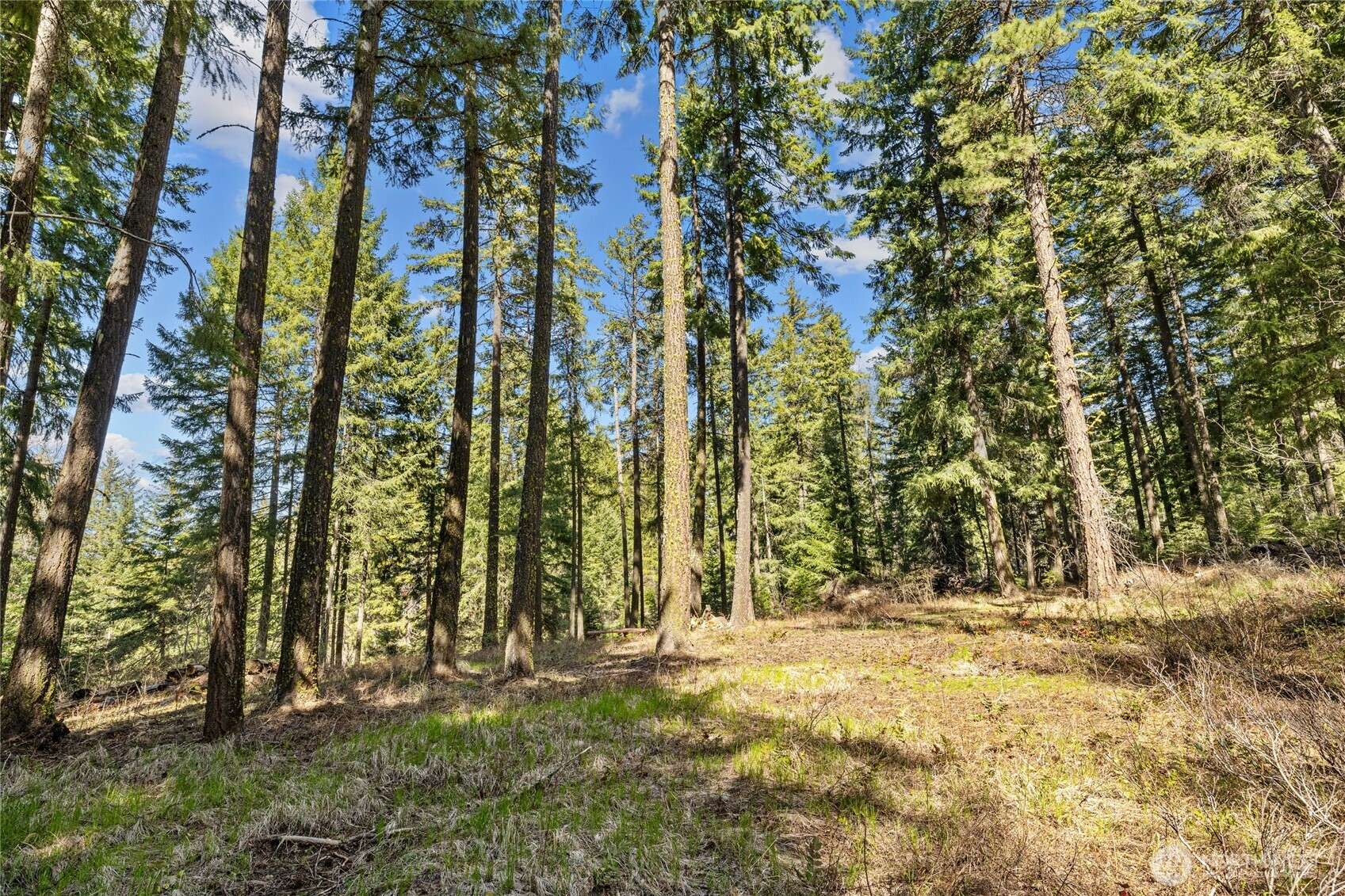 Cle Elum, WA 98922,0 xxx westside RD